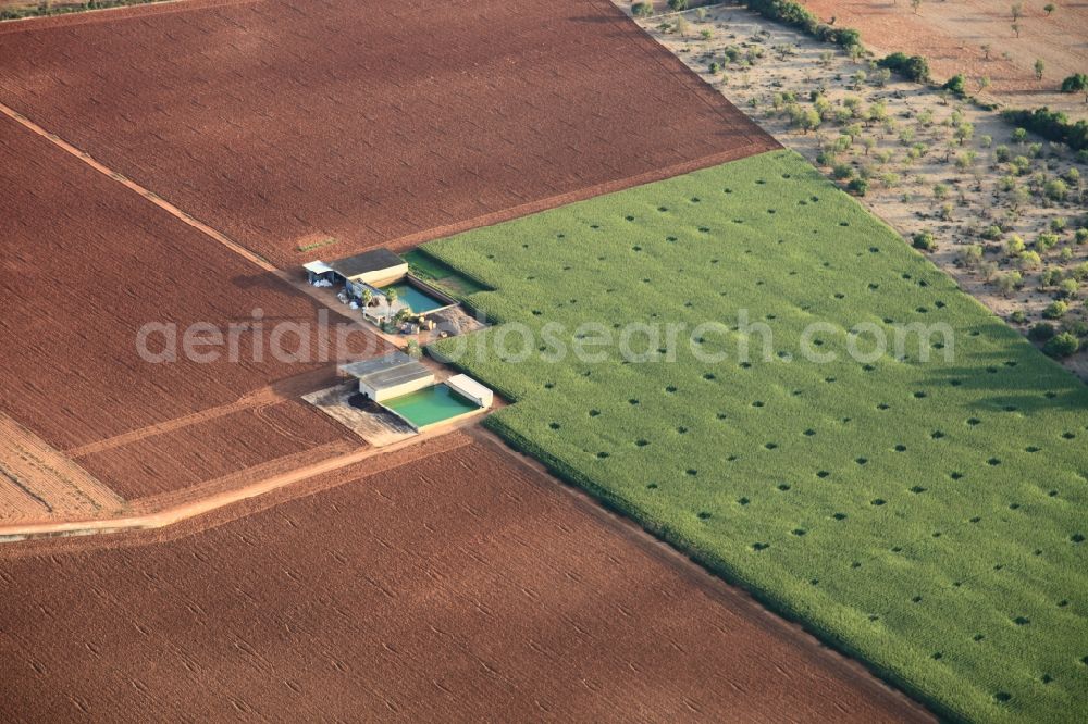 Manacor from the bird's eye view: Traditional water - reservoir on the fields of Mallorca at Manacor in Balearic Islands, Spain