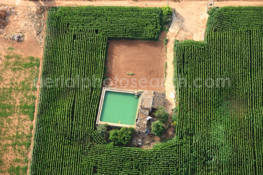 Manacor from the bird's eye view: Traditional water - reservoir on the fields of Mallorca at Manacor in Balearic Islands, Spain