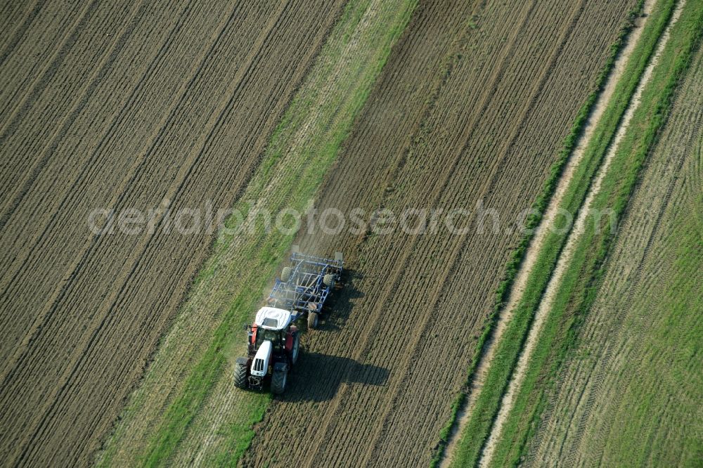 Laußig from the bird's eye view: Harvest use of heavy agricultural machinery - combine harvesters and harvesting vehicles on agricultural fields in Laussig in the state Saxony