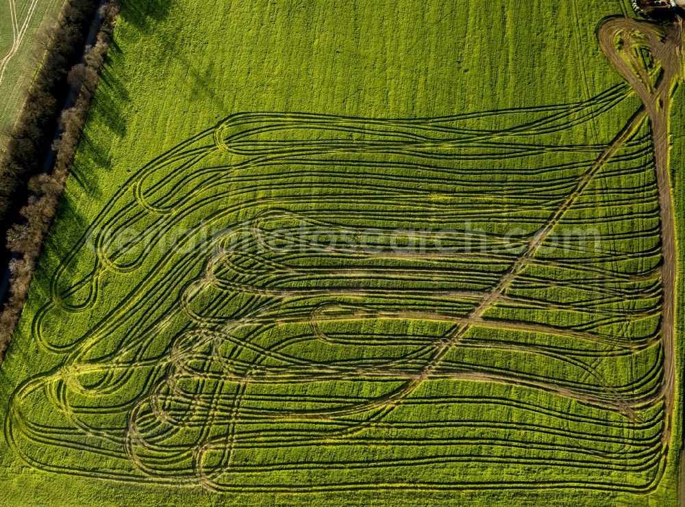 Velbert from above - Tractor Tracks agricultural field working on a field near Velbert in the Ruhr area in North Rhine-Westphalia