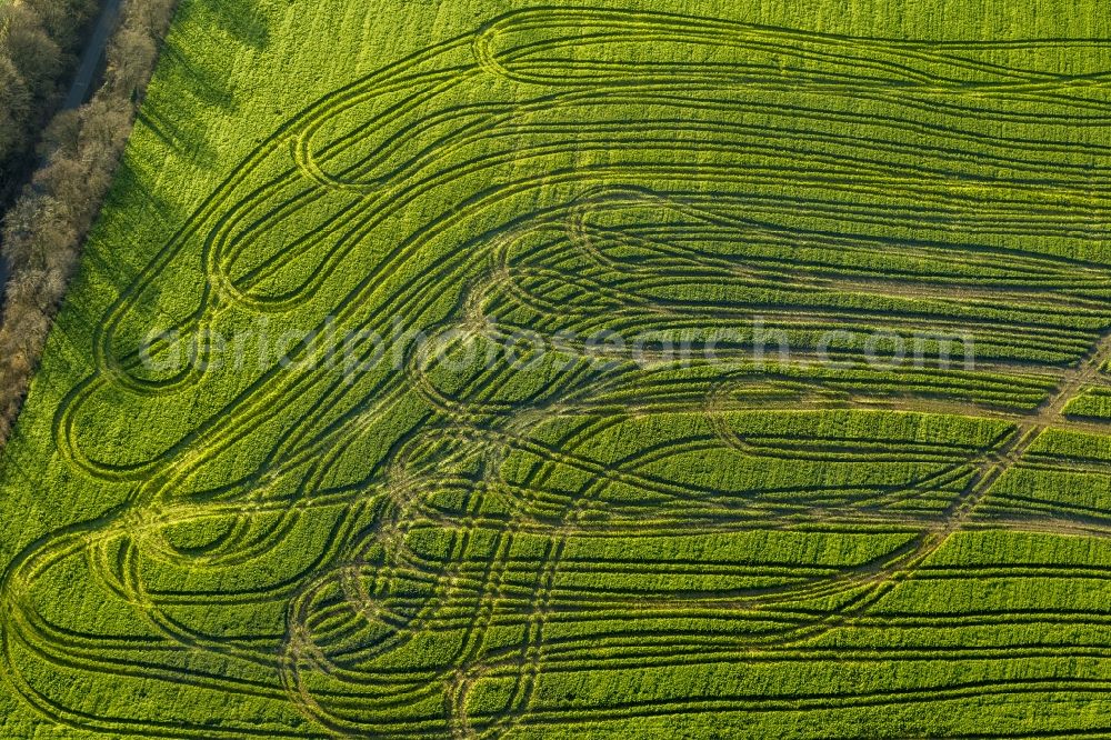 Velbert from the bird's eye view: Tractor Tracks agricultural field working on a field near Velbert in the Ruhr area in North Rhine-Westphalia