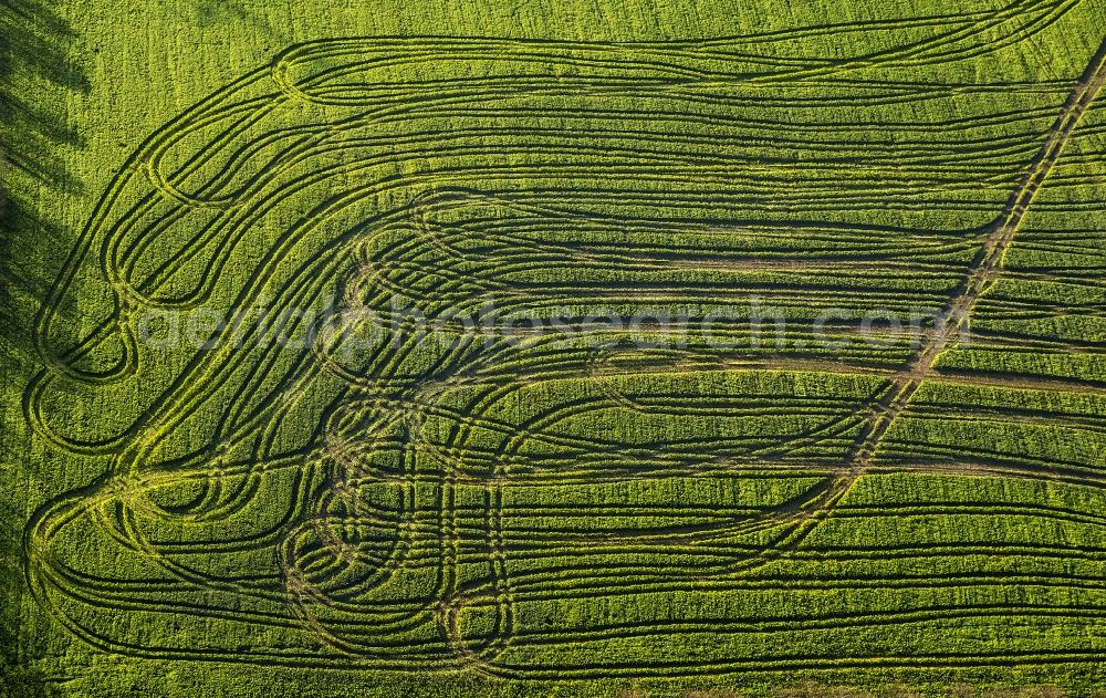 Velbert from above - Tractor Tracks agricultural field working on a field near Velbert in the Ruhr area in North Rhine-Westphalia