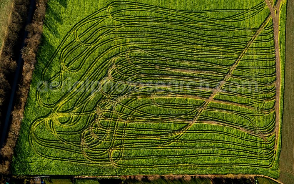 Velbert from the bird's eye view: Tractor Tracks agricultural field working on a field near Velbert in the Ruhr area in North Rhine-Westphalia