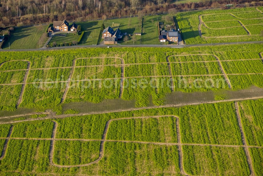 Aerial image Velbert - Tractor Tracks agricultural field working on a field near Velbert in the Ruhr area in North Rhine-Westphalia