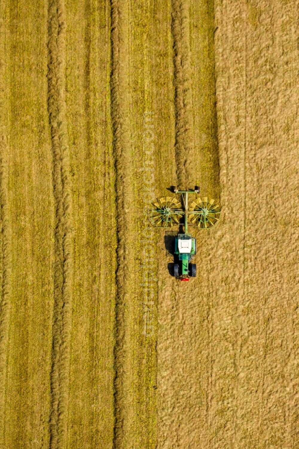 Sprockhövel from the bird's eye view: Tractor with straw collectors and cereal straw rows on a harvested field to the grain harvest in Sprockhoevel in North Rhine-Westphalia