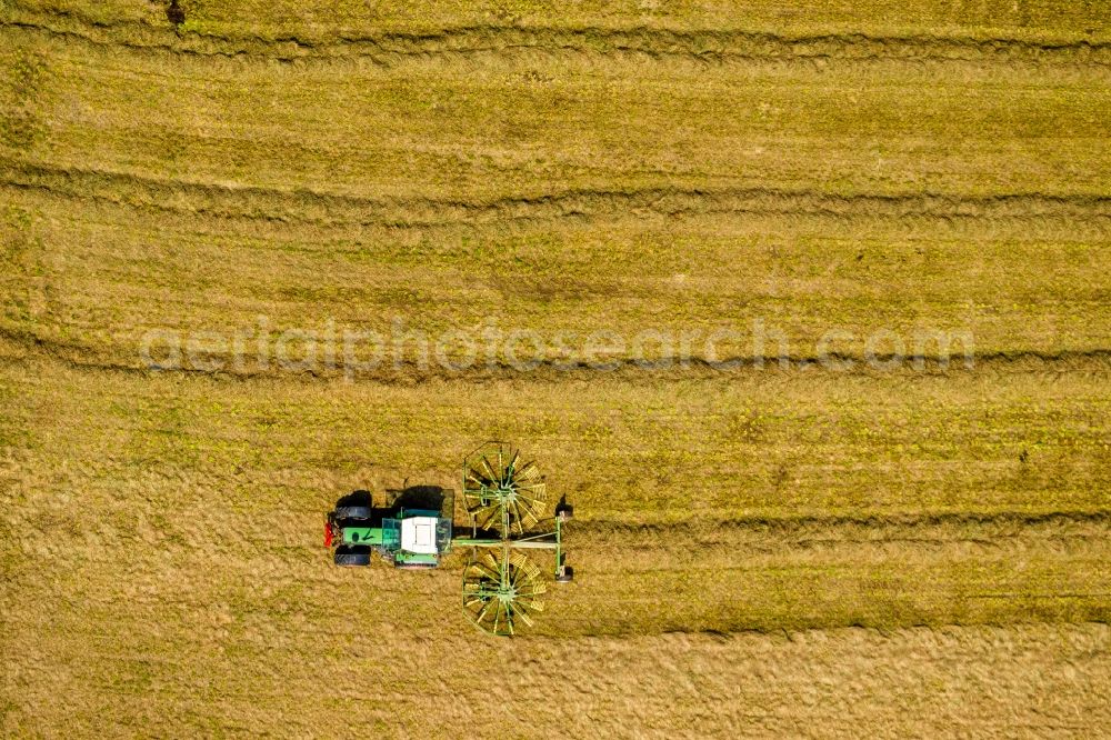 Sprockhövel from the bird's eye view: Tractor with straw collectors and cereal straw rows on a harvested field to the grain harvest in Sprockhoevel in North Rhine-Westphalia