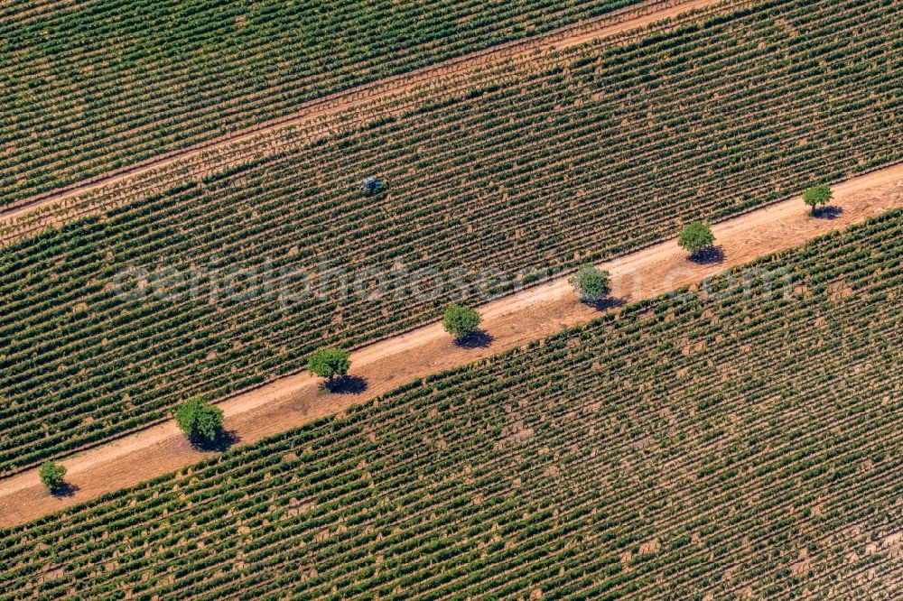 Manacor from the bird's eye view: Transport vehicles in agricultural fields in Manacor in Balearic island of Mallorca, Spain