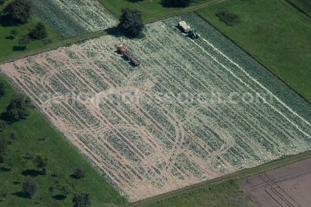 Aerial image Stuttgart - Transport vehicles in agricultural fields in the district Moehringen in Stuttgart in the state Baden-Wuerttemberg, Germany