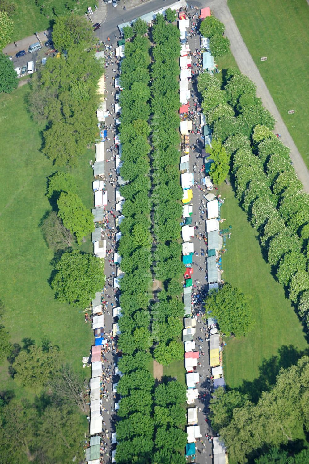 Erfurt from above - Blick auf die aneinan dergereihten Stände eines Trödelmarktes / Flohmarkt an der Tiergartenstraße in der Seevorstadt Ost am Großen Garten. View of the lined-up a flea market stalls / Flohmarktin in Erfurt, Thuringia.