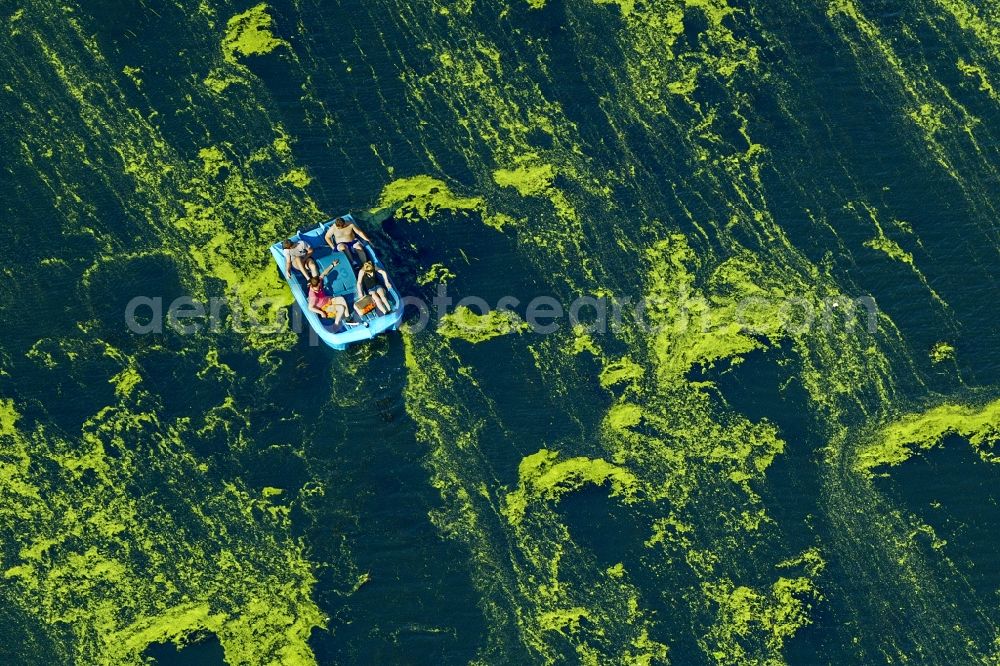 Aerial image Bochum - Individuals in a blue paddleboat on the Kemnan der See in Bochum in the state North Rhine-Westphalia. The water of the lake is green colored because of the Elodea