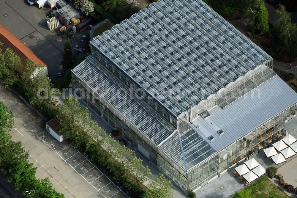 Berlin from the bird's eye view: Tropical garden - Balinese garden on the grounds of the International Garden Exhibition IGA 2017 on the Eisenacher Strasse in the district of Marzahn-Hellersdorf in Berlin