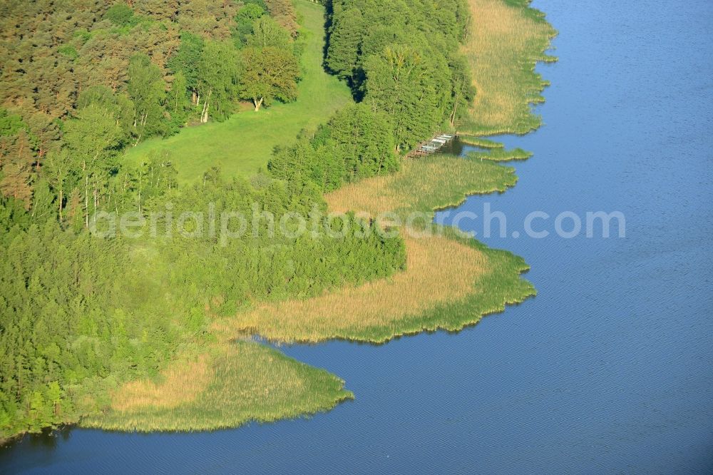 Löwenberger Land from the bird's eye view: Shores of Dreetzsee lake in the borough of Loewenberger Land in the state of Brandenburg. The lake is surrounded by trees and forest, the next village is the Grueneberg part of the borough. A small boat dock is located on its shore