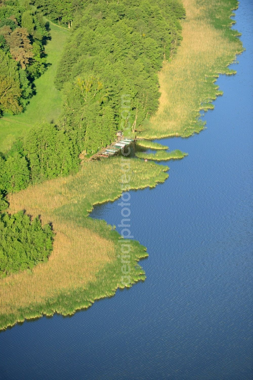 Aerial photograph Löwenberger Land - Shores of Dreetzsee lake in the borough of Loewenberger Land in the state of Brandenburg. The lake is surrounded by trees and forest, the next village is the Grueneberg part of the borough. A small boat dock is located on its shore