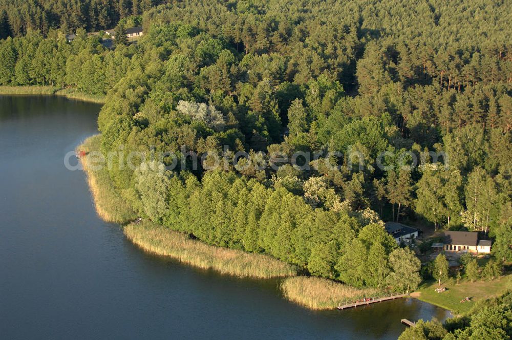 Aerial photograph Hammer - Blick auf das Ufer des Kupanzsees in Brandenburg. Er liegt in einer Reihe von Seen zwischen dem Wutzsee und dem Weißen See.