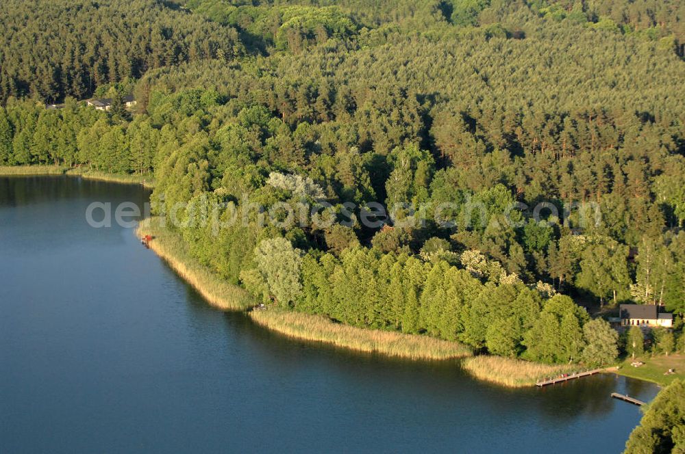 Hammer from above - Blick auf das Ufer des Kupanzsees in Brandenburg. Er liegt in einer Reihe von Seen zwischen dem Wutzsee und dem Weißen See.