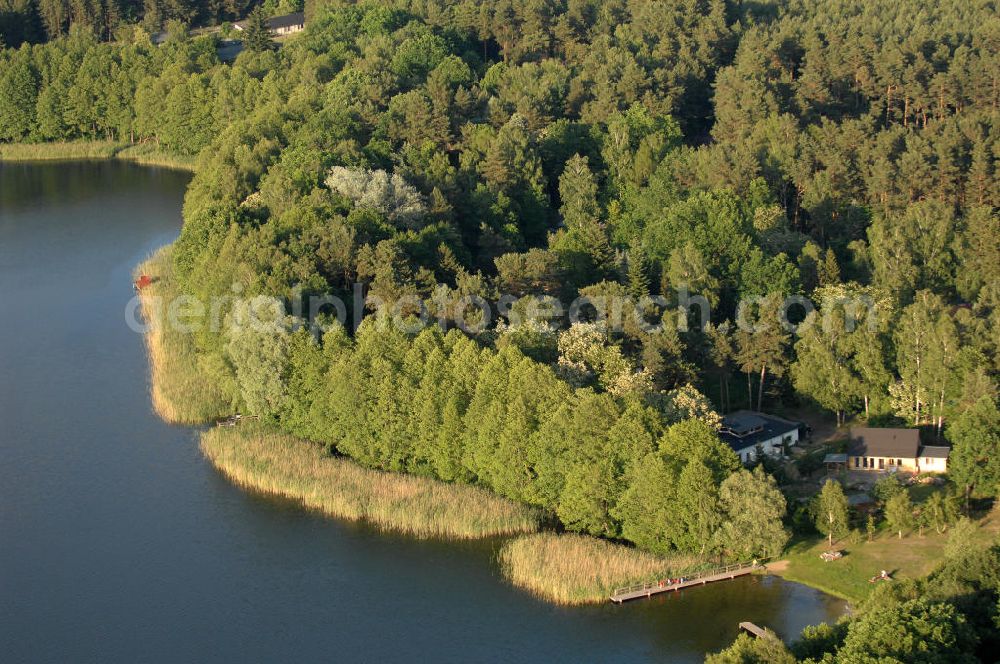 Aerial image Hammer - Blick auf das Ufer des Kupanzsees in Brandenburg. Er liegt in einer Reihe von Seen zwischen dem Wutzsee und dem Weißen See.