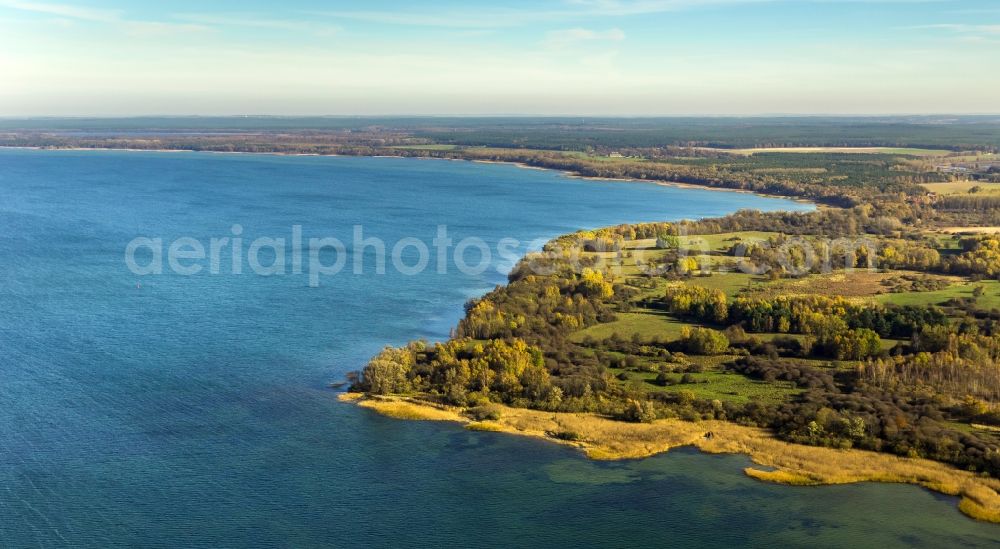 Rechlin from above - View of the bank of the Mueritz in the state Mecklenburg-Vorpommern