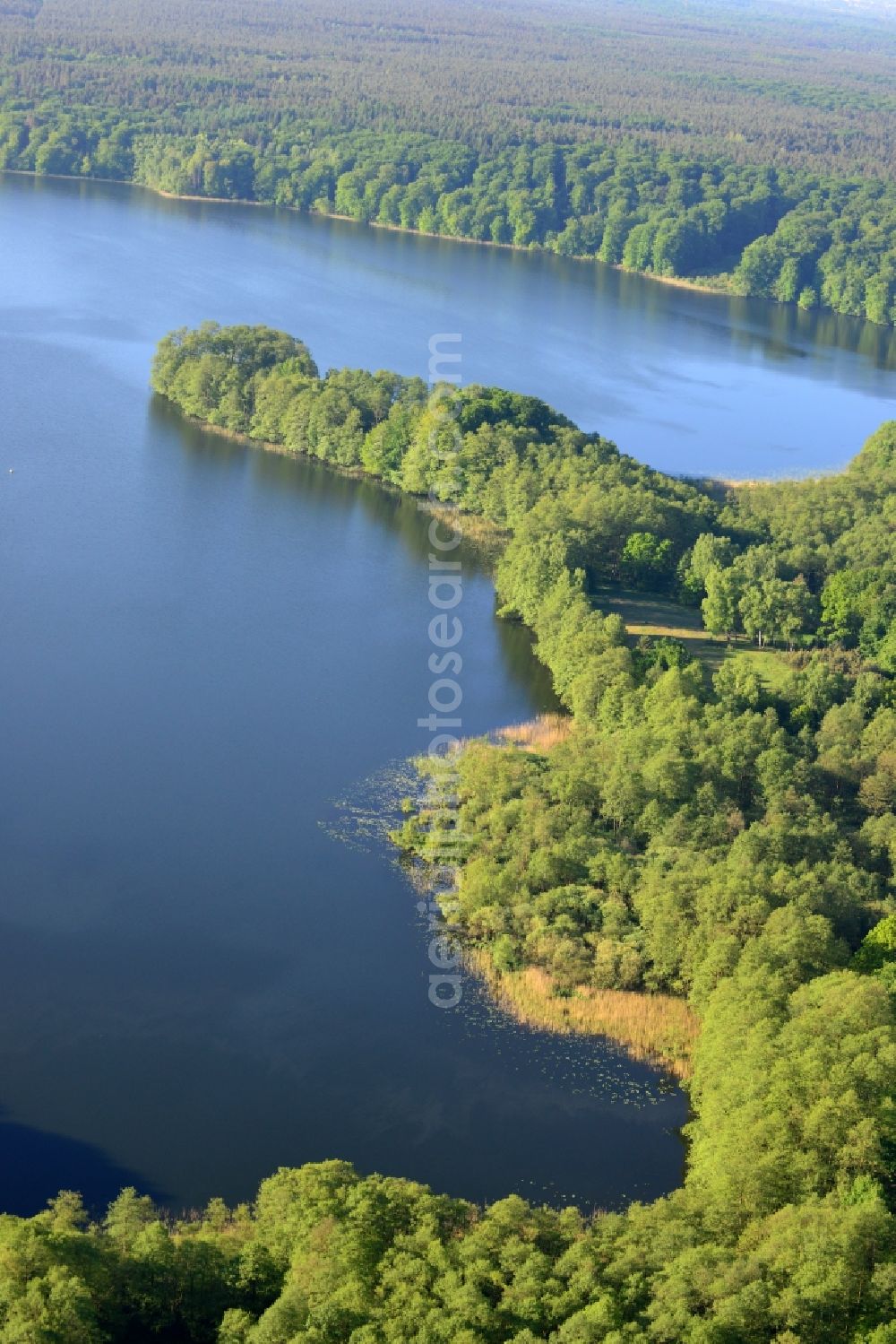 Neuruppin from the bird's eye view: Shores of Tornowsee lake in region of the town of Neuruppin in the state of Brandenburg. The lake is surrounded by trees and forest, the lakeside consists of small peninsulas. It is located in the North of the core of Neuruppin, next to Zermuetzelsee lake