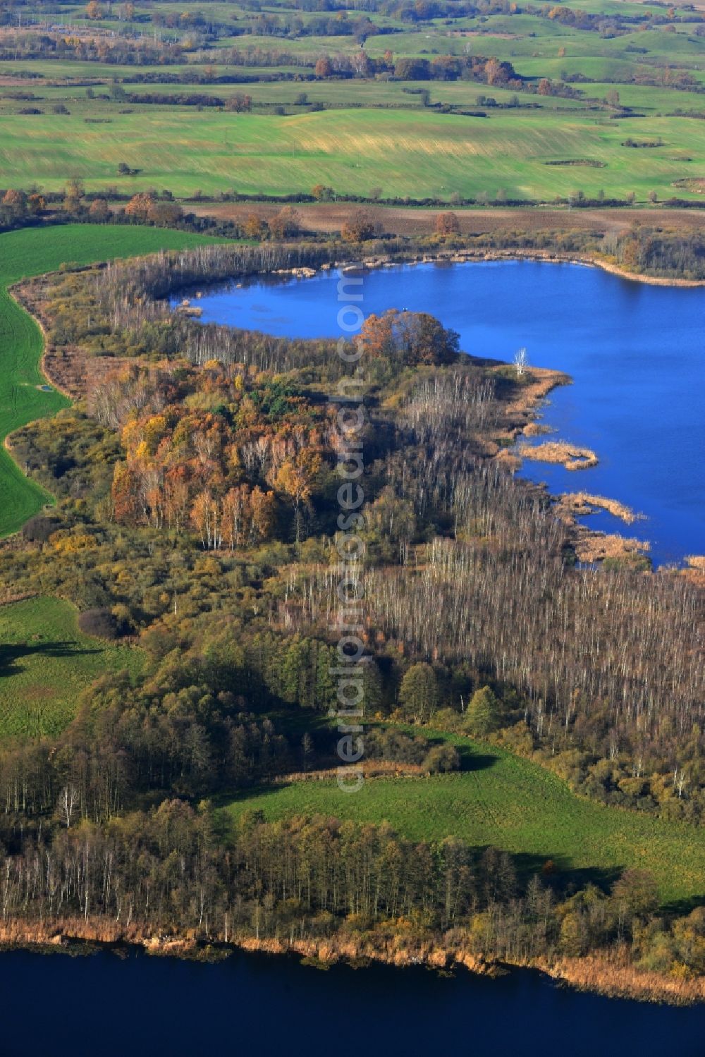 Temmen-Ringenwalde from above - View of the bank of the lake Sabinensee in Temmen-Ringenwalde in the state Brandenburg