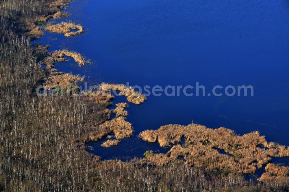 Aerial image Temmen-Ringenwalde - View of the bank of the lake Sabinensee in Temmen-Ringenwalde in the state Brandenburg