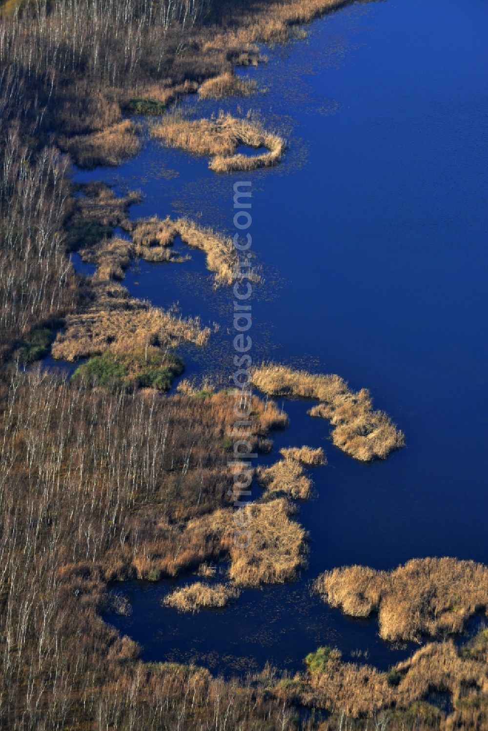 Aerial photograph Temmen-Ringenwalde - View of the bank of the lake Sabinensee in Temmen-Ringenwalde in the state Brandenburg