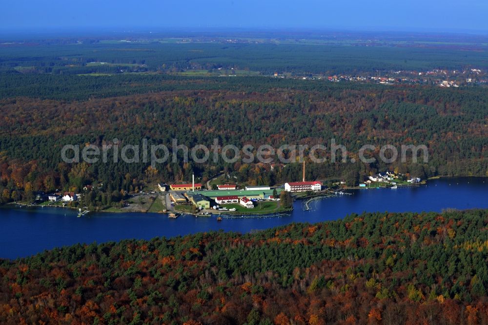 Aerial photograph Joachimsthal - View of the bank of the lake Werbellinsee in Joachimsthal in the state Brandenburg