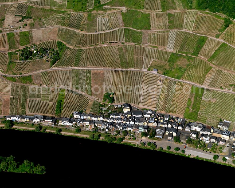 Aerial photograph Zell (Mosel) - The banks of the Moselle in Zell (Mosel) in Rhineland-Palatinate