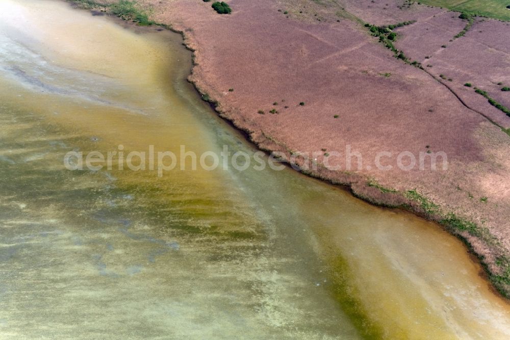 Aerial image Konstanz - Waterfront landscape on the lake Untersee - Gnadensee in Konstanz in the state Baden-Wuerttemberg, Germany