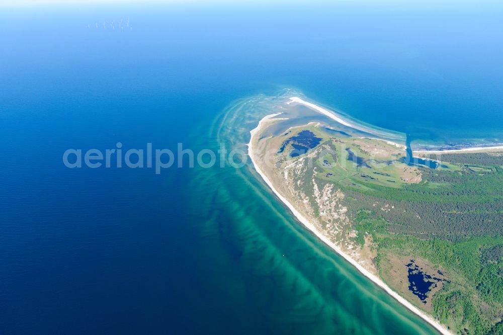 Born am Darß from above - National park Vorpommersche Boddenlandschaft in Born am Darss in the state Mecklenburg - Western Pomerania, Germany