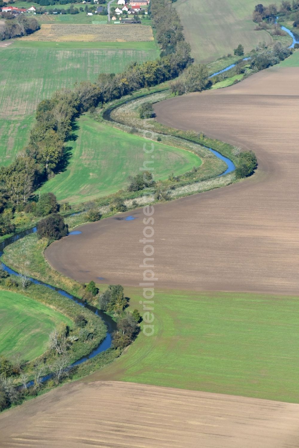 Oderaue from the bird's eye view: Curved loop of the riparian zones on the course of the river Alte Oder - in Oderaue in the state Brandenburg, Germany