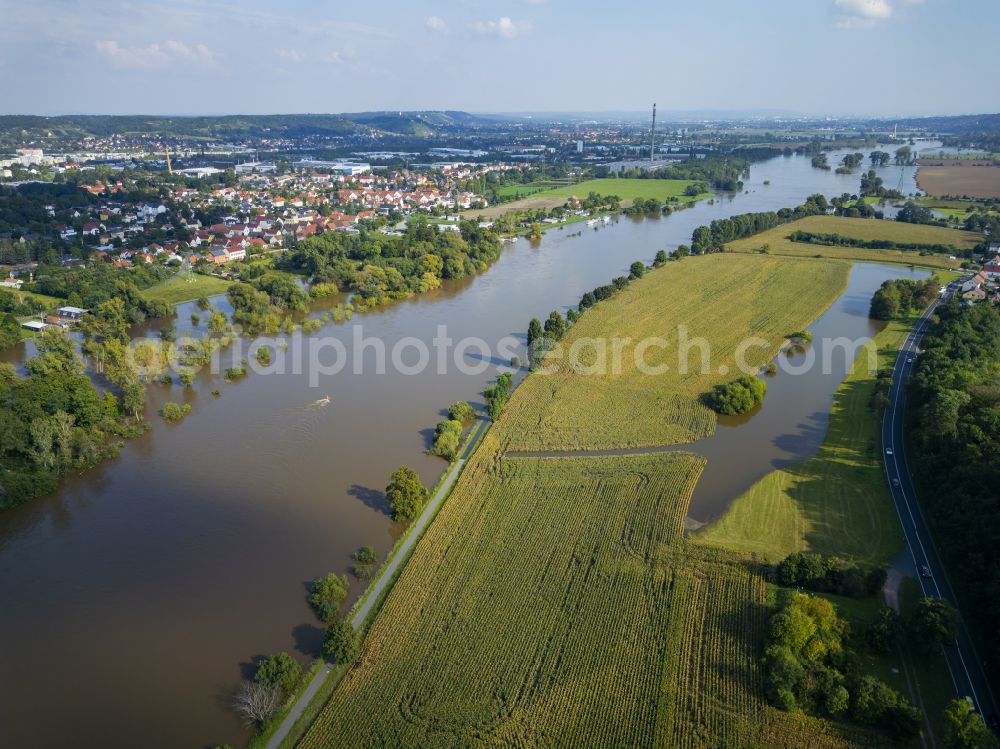 Scharfenberg from the bird's eye view: Banks of the river Elbe during flooding in Gauernitz in the federal state of Saxony