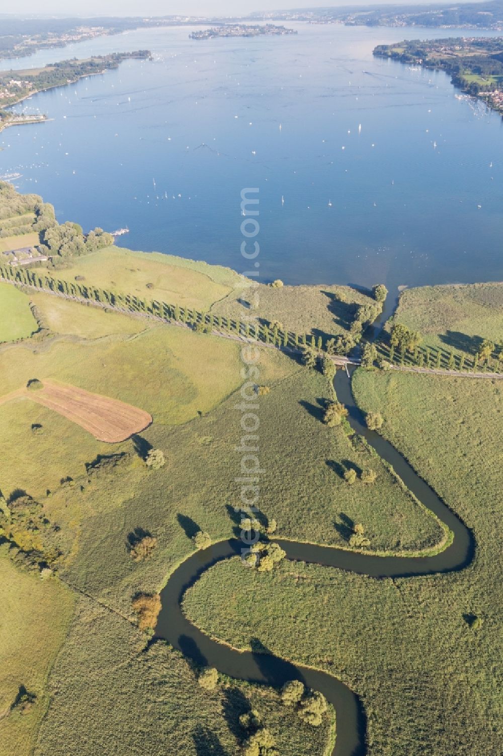 Aerial photograph Radolfzell am Bodensee - Riparian areas along the river mouth of Aach in Radolfzell am Bodensee in the state Baden-Wuerttemberg, Germany