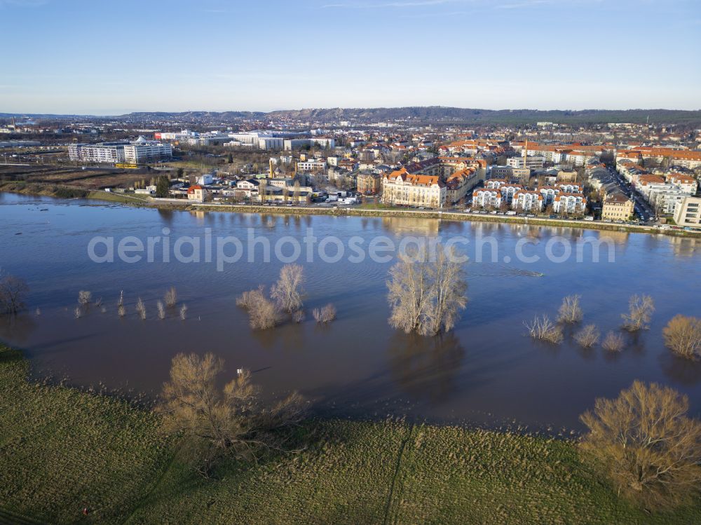 Dresden from above - Bank areas with the riverbed of the Elbe flooded by high water levels in the districts of Pieschen and Kaditz in Dresden in the federal state of Saxony, Germany