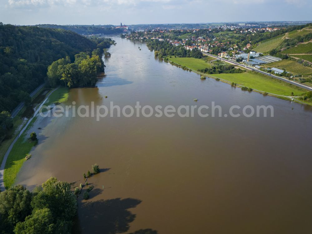 Scharfenberg from above - Shore areas with flooded by flood level riverbed of the River Elbe on street Faehrweg in Scharfenberg in the state Saxony, Germany