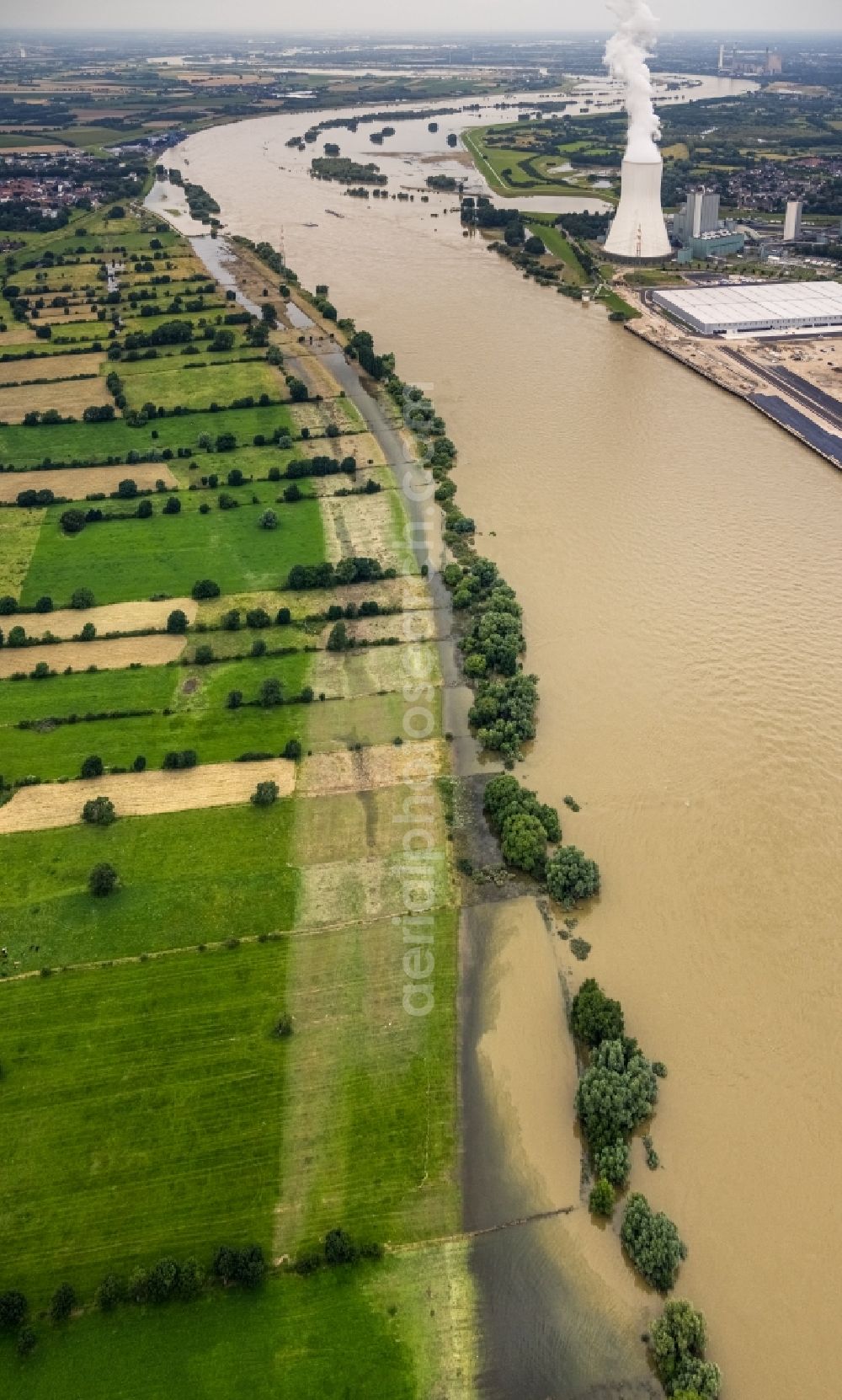 Duisburg from the bird's eye view: Shore areas with flooded by flood level riverbed of Rhein on logport VI in Duisburg at Ruhrgebiet in the state North Rhine-Westphalia, Germany