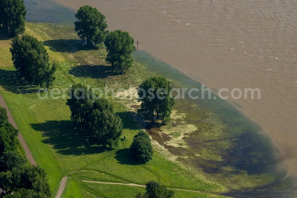 Aerial image Duisburg - Shore areas with flooded by flood level riverbed Rhine Bridge L410 in Duisburg in the state North Rhine-Westphalia