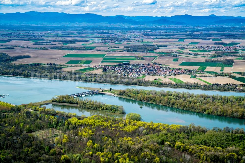 Diebolsheim from the bird's eye view: Shore areas of the reinforced by flood protection dam riverbed course Rhine in Diebolsheim in Grand Est, France