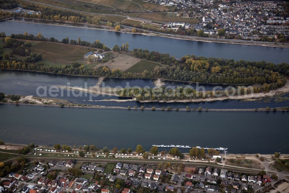 Aerial photograph Eltville am Rhein - Shore areas exposed by low-water level riverbed on the Rhine river in Eltville am Rhein in the state Hesse, Germany. In the Rhine is the island of Mariannenaue, a Europe nature reserve