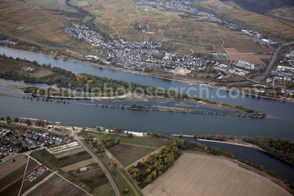 Eltville am Rhein from the bird's eye view: Shore areas exposed by low-water level riverbed on the Rhine river in Eltville am Rhein in the state Hesse, Germany. In the Rhine is the island of Mariannenaue, a Europe nature reserve