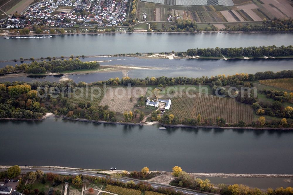 Aerial image Eltville am Rhein - Shore areas exposed by low-water level riverbed on the Rhine river in Eltville am Rhein in the state Hesse, Germany. In the Rhine is the island of Mariannenaue, a Europe nature reserve