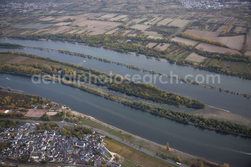 Aerial image Eltville am Rhein - Shore areas exposed by low-water level riverbed on the Rhine river in Eltville am Rhein in the state Hesse, Germany. In the Rhine is the island of Mariannenaue, a Europe nature reserve