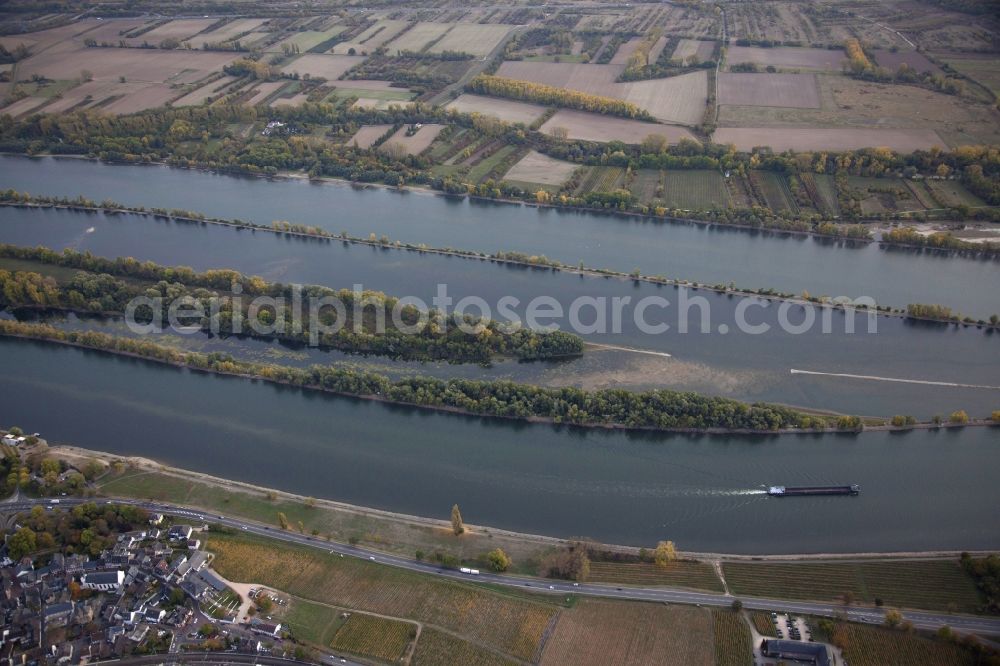 Aerial photograph Eltville am Rhein - Shore areas exposed by low-water level riverbed on the Rhine river in Eltville am Rhein in the state Hesse, Germany. In the Rhine is the island of Mariannenaue, a Europe nature reserve