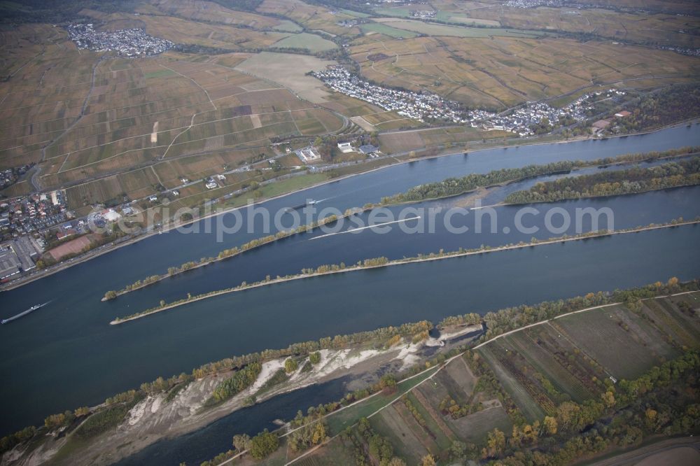 Eltville am Rhein from the bird's eye view: Shore areas exposed by low-water level riverbed on the Rhine river in Eltville am Rhein in the state Hesse, Germany. In the Rhine is the island of Mariannenaue, a Europe nature reserve