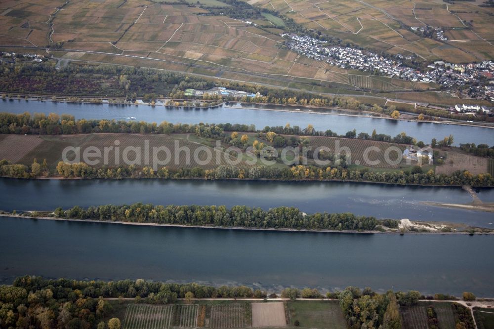 Eltville am Rhein from the bird's eye view: Shore areas exposed by low-water level riverbed on the Rhine river in Eltville am Rhein in the state Hesse, Germany. In the Rhine is the island of Mariannenaue, a Europe nature reserve