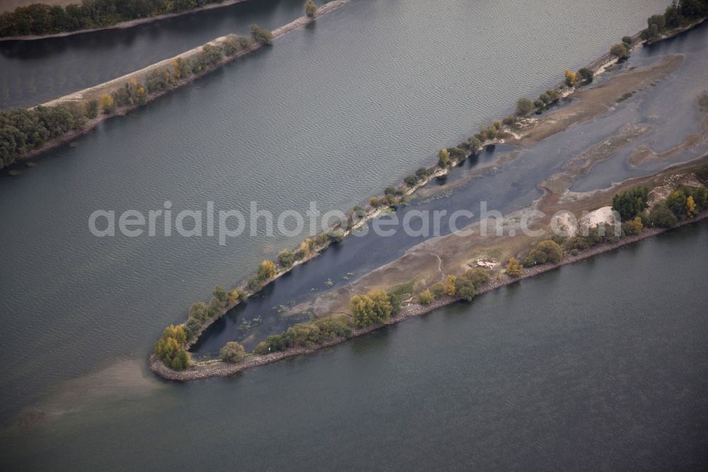 Eltville am Rhein from the bird's eye view: Shore areas exposed by low-water level riverbed on the Rhine river in Eltville am Rhein in the state Hesse, Germany. In the Rhine is the island of Mariannenaue, a Europe nature reserve