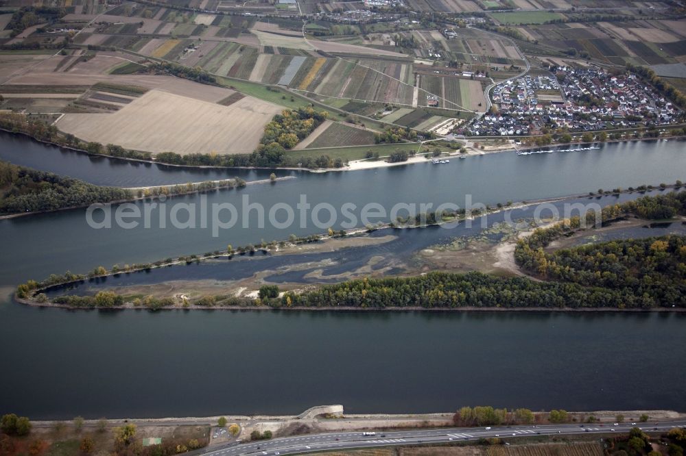 Aerial image Eltville am Rhein - Shore areas exposed by low-water level riverbed on the Rhine river in Eltville am Rhein in the state Hesse, Germany. In the Rhine is the island of Mariannenaue, a Europe nature reserve