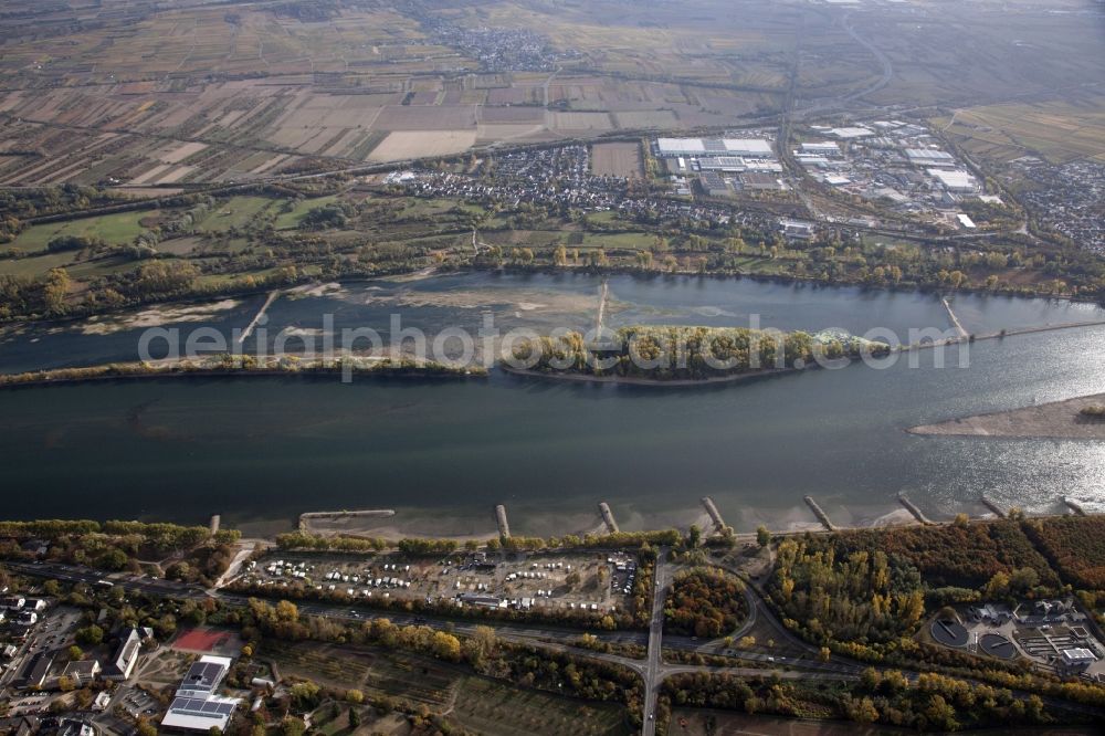 Geisenheim from the bird's eye view: Shore areas exposed by low-water level riverbed on the Rhine river in Geisenheim in the state Hesse, Germany