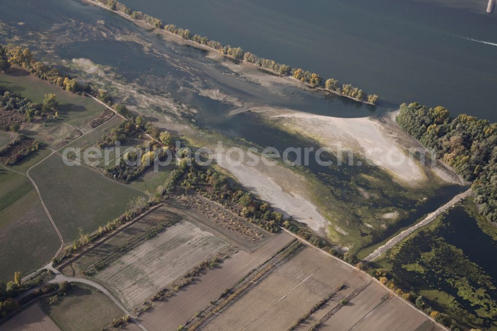 Aerial photograph Ingelheim am Rhein - Shore areas exposed by low-water level riverbed on the Rhine river in Ingelheim am Rhein in the state Rhineland-Palatinate, Germany