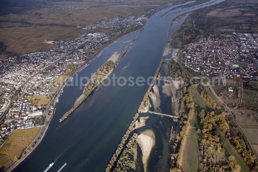 Ingelheim am Rhein from the bird's eye view: Shore areas exposed by low-water level riverbed on the Rhine river in Ingelheim am Rhein in the state Rhineland-Palatinate, Germany