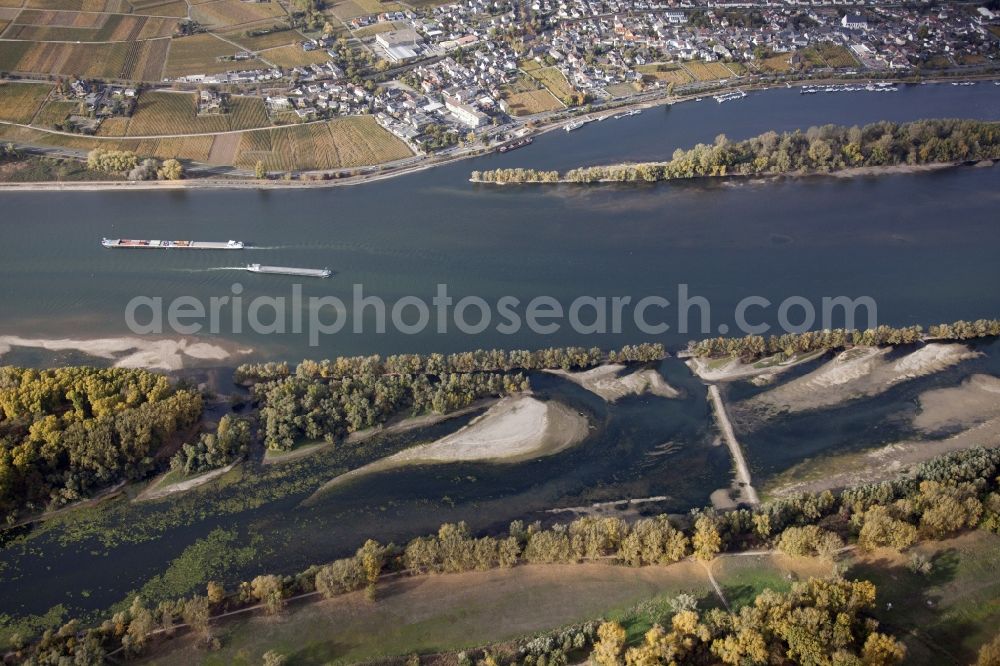 Aerial image Ingelheim am Rhein - Shore areas exposed by low-water ...